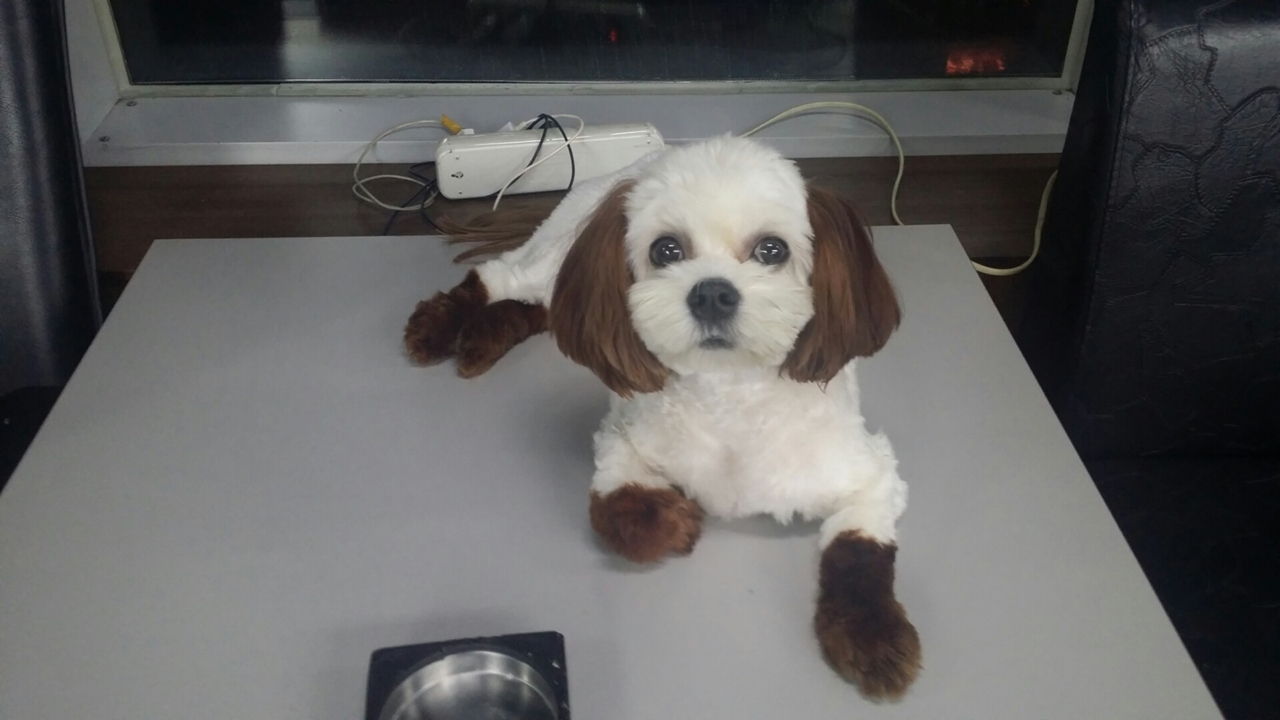 클럽이미지